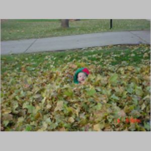 danny in leaves 3.JPG